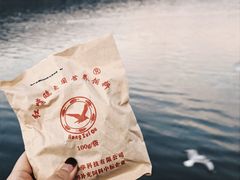 -海埂大坝