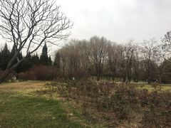 景点-秦始皇帝陵博物院-丽山园