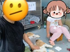 -甄爱宠物医院(疏影路店)