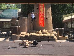 -白洋淀景区