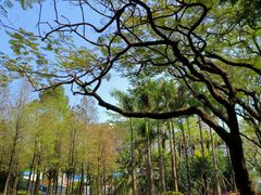 -晓港公园