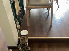 -参差咖啡(水果湖公园店)