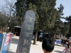 -骏途旅游