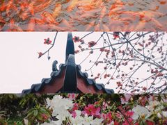 -中山公园