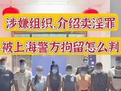 -上海诚本律师事务所·刑事辩护团队