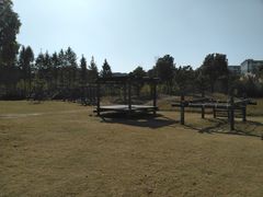 -田园东方蜜桃村的田野营地