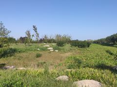 -汉长安城未央宫国家考古遗址公园