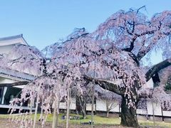 -醍醐寺