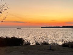 -苏州苏州湾艾美酒店-新食谱全日制餐厅