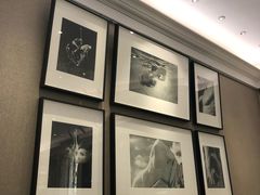 -PAUL LAFAYET 法式甜品(港汇广场店)