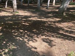 -长白岛森林公园