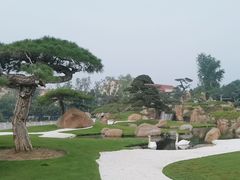 -罗红摄影艺术馆