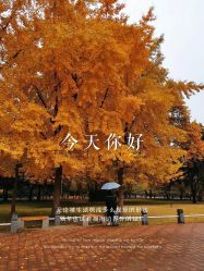 -Kraemer Paris苏豪路易士·嘉玛发廊