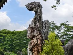 -顺峰山公园