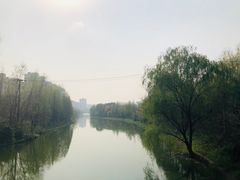 -新江湾城公园