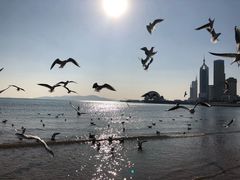 -王记西鎮电烤肉(汶上路店)