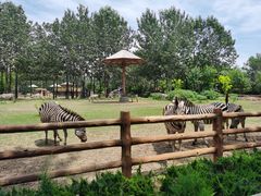 -大连森林动物园