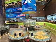 -百姓渔村(南中环店)