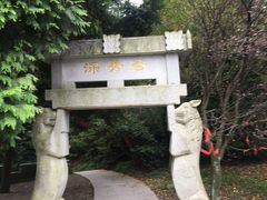 -四明山国家森林公园