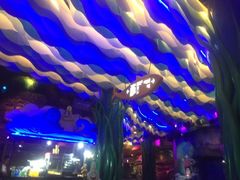 -青岛嘉年华主题乐园