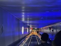 -白鹤梁水下博物馆