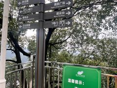 -大金鹰园
