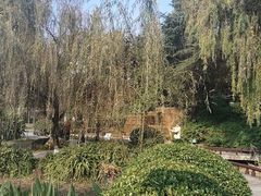 -成飞公园