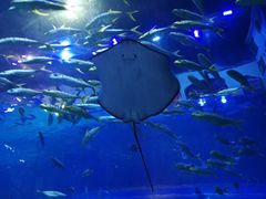 -华夏文旅海洋公园