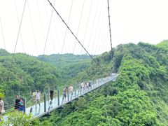 -川西竹海景区