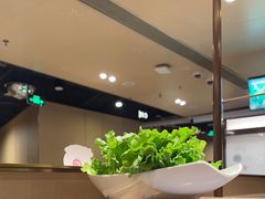 -海底捞火锅(苏宁生活广场店)