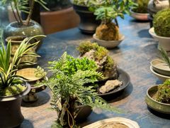 -自由生长植物工作室(深港花卉中心店)