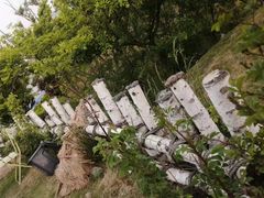 -青岛金沙滩