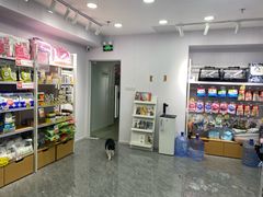 -爱洗澡的猫(望京店)