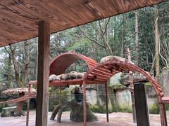 -杭州野生动物世界