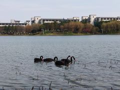 -江南大学(蠡湖校区)