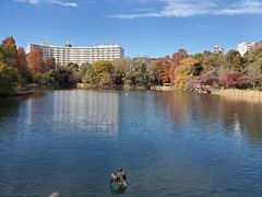 -井之头恩赐公园