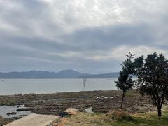 -北岐滩涂