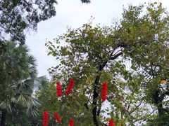 -南宁市动物园