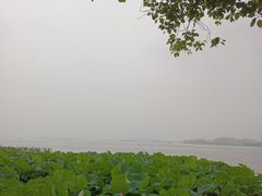 -西湖游船