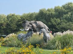 -北京野生动物园