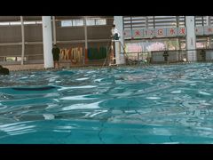 -同济大学四平路校区游泳馆