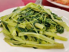 -鸿达渔港