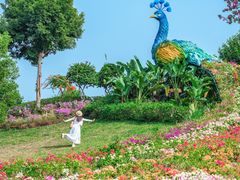 -东莞植物园