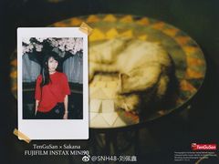 -猫猫幼稚园·撸猫·桌游·电玩