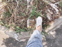 -悦城龙母祖庙
