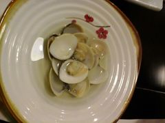 -左舞日本料理