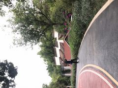 -大渡口区义渡公园