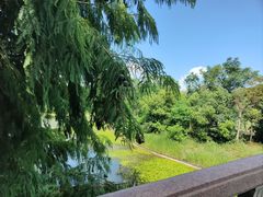 -上海海湾国家森林公园