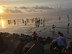 -南汇嘴观海公园