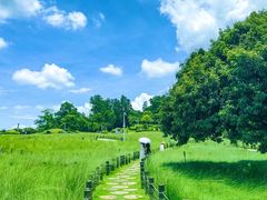 -红花山公园